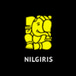 The Nilgiris Restaurant in Toronto